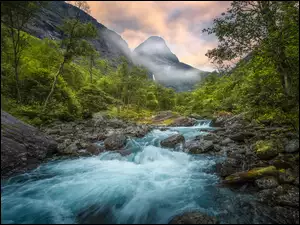Górska dolina Romsdalen w lesie