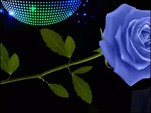 Niebieska róża na czarnym tle w grafice 2D