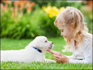 Biały szczeniak z dziewczynką w trawie