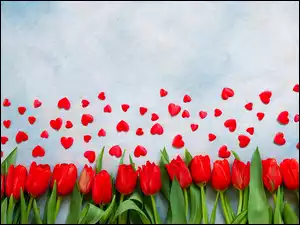 Czerwone serduszka na d tulipanami