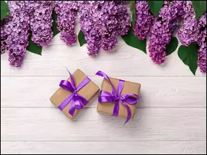 kwiaty fioletowego bzu z prezentami
