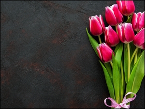Wiązanka tulipanów na ciemnym tle