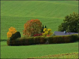 Dom otoczony drzewami z widokiem na zielone wzgórza