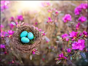 Trzy ptasie jajka w gniazdku wśród kwiatów