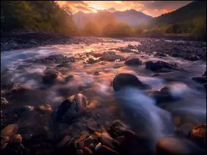 Rzeka na kamieniach przepływająca przez las