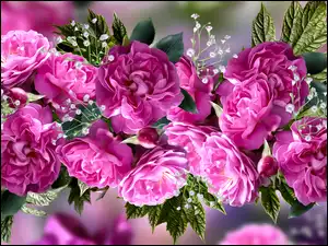 Róże w kompozycji z listkami i gipsówką