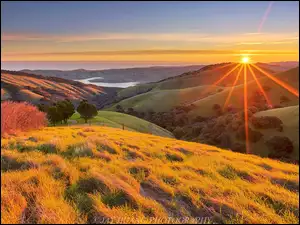 Stany Zjednoczone, Jezioro, Kalifornia, Promienie słońca, Dolina Livermore Valley, Drzewa, Krzewy, Góry, Wzgórza