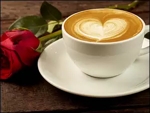 Cappuccino, Kawa, Spodek, Róża, Filiżanka, Czerwona