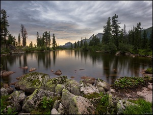 Park przyrody Ergaki, Jezioro Lazurnoye, Świerki, Syberia, Góry, Kamienie, Rosja, Drzewa