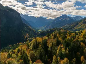 Dolina, Oberstdorf, Lasy, Bawaria, Góry, Drzewa, Niemcy, Alpy Algawskie