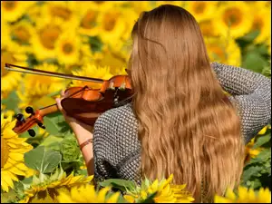Kobieta ze skrzypcami wśród słoneczników