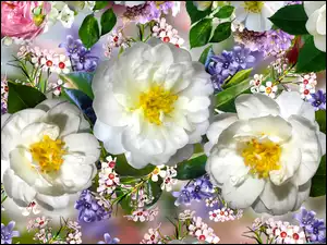 Białe róże w grafice z pręcikami