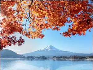 Japonia, Fuji, Honsiu, Gałęzie, Liście, Fudżi, Góra, Stratowulkan, Jezioro