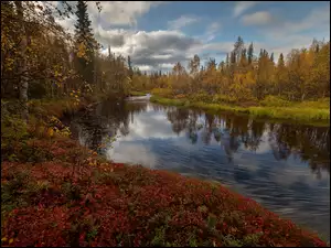 Drzewa, Chmury, Rzeka, Jesień, Krzewy