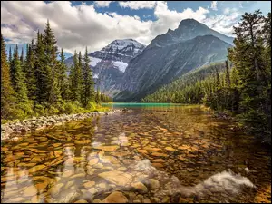 Kanada, Góry, Alberta, Drzewa, Chmury, Góra Mount Edith Cavell, Rzeka Astoria River, Park Narodowy Jasper, Kamienie