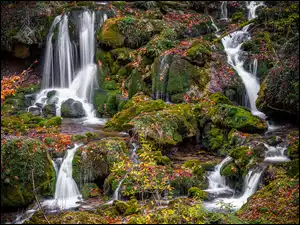 Wodospady na omszałych skałach w lesie