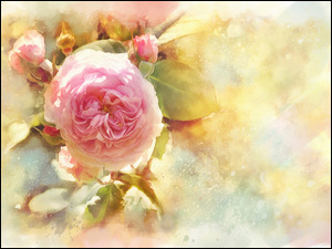 Reprodukcja obrazu, Grafika, Kwiaty, Pąki Alberto Guillen, Akwarela, Róże różowe