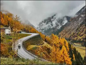 Zakręt górskiej drogi wśród jesiennych drzew