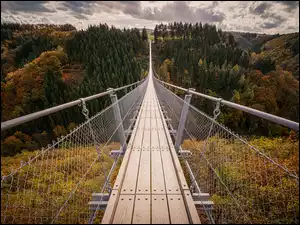 Sosberg, Jesień, Góry Hunsruck, Nadrenia-Palatynat, Most wiszący Geierlay, Wzgórza, Niemcy, Drzewa