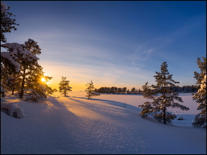 Ośnieżone, Zima, Zachód słońca, Finlandia, Drzewa, Kotka