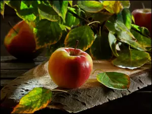 Jabłka na desce pod gałązkami