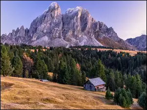 Dolomity, Włochy, Las, Dom, Góry, Drzewa