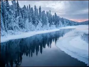Śnieg, Drzewa, Rzeka, Zima, Ośnieżone