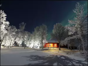 Ośnieżone drzewa wokół oświetlonego domu