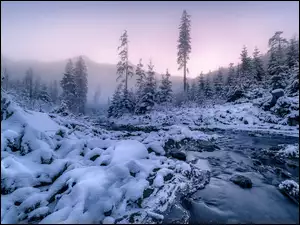 Rzeka, Mgła, Góry, Zima, Drzewa