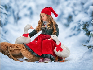 Dziewczynka w czerwonej czapce na sankach i dwie gęsi na śniegu