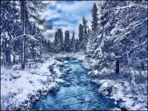 Rzeka, Zima, Śnieg, Las