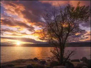 Zachód słońca, Jezioro Tyrifjorden, Drzewo, Norwegia, Chmury, Okręg Buskerud