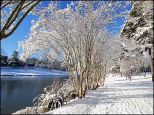 Śnieg, Zima, Drzewa, Rzeka, Ośnieżone, Droga