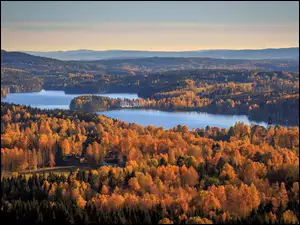 Gunnarskog, Jesień, Jezioro, Gmina Arvika, Lasy, Lake Gunnern, Szwecja, Drzewa