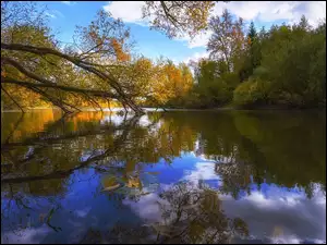 Pochylone, Odbicie, Rzeka, Jesień, Drzewa