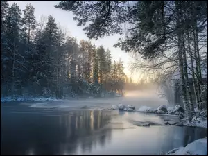Las, Wschód słońca, Rzeka, Zima, Drzewa