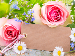 Kompozycja kwiatów i kartkę dla pozdrowienia