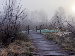 Mgła nad drewnianym mostkiem