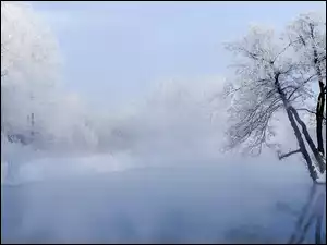 Ośnieżone, Zima, Mgła, Rzeka, Drzewa