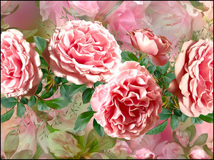 Róże w grafice 3D