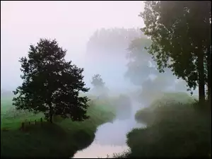 Trawa, Poranek, Rzeka, Drzewa, Mgła