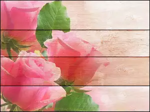Namalowane róże na deskach