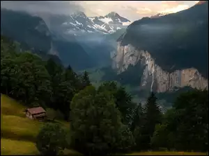 Szwajcaria, Wengen, Domy, Lasy, Drzewa, Góry, Alpy Berneńskie, Gmina Lauterbrunnen, Dolina Lauterbrunnen