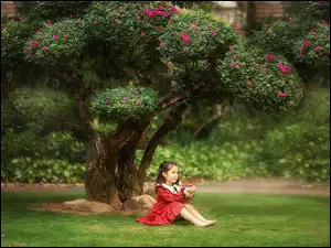Dziewczynka na trawie pod drzewem