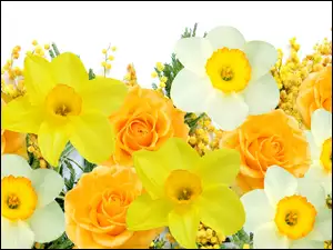 Kwiaty, Róże, Żółte, Białe, Narcyzy