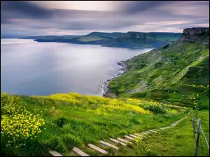 Wzgórza Emmetts na wybrzeżu Jurajskim w hrabstwie Dorset w Anglii