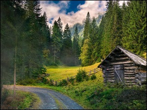 Drewniana chata na polanie przy leśnej drodze