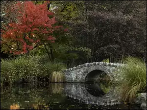 Kamienny most w parku jesienią