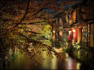 Noc, Drzewo, Lampy, Kioto, Rzeka, Oświetlenie, Japonia, Domy