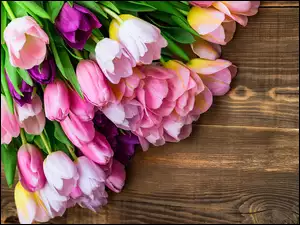 Bukiet tulipanów ułożony na deskach